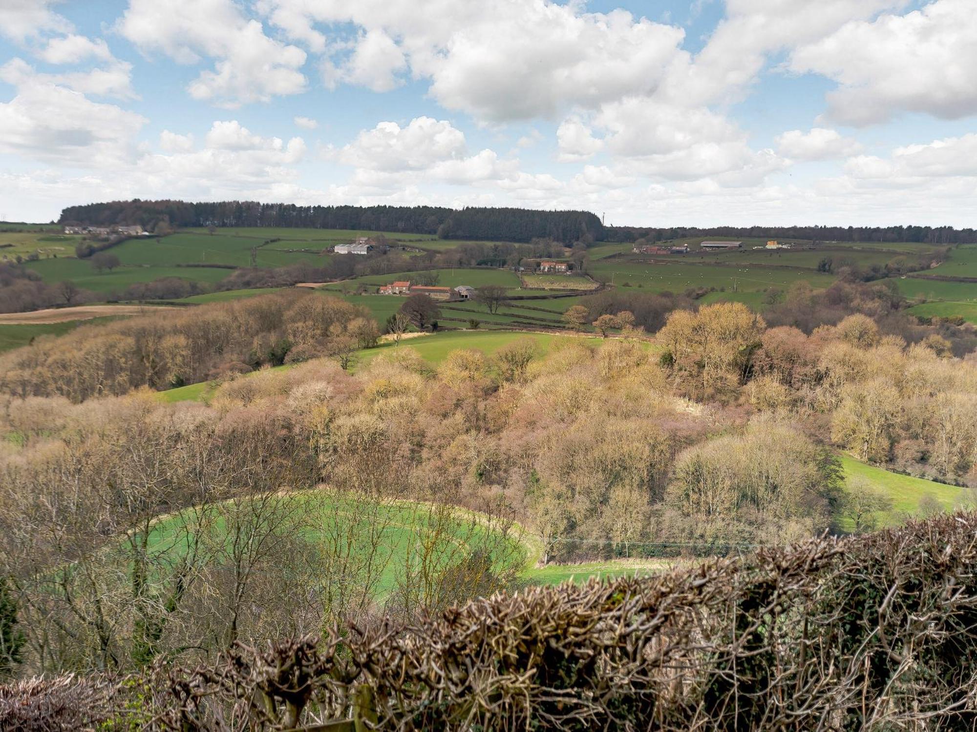 Esk Dale View Villa Grosmont  Bagian luar foto
